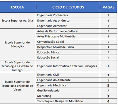 COMUNICADO – Vagas de Estudo – Licenciaturas no Instituto Politécnico de Viseu (IPV) – Portugal